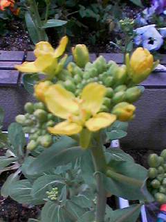 060328_1030001 060328_1030001