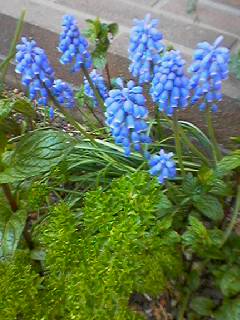 060329_1658001 060329_1658001