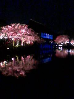 060408_1851001 060408_1851001