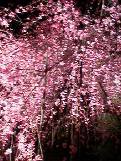 060408_1916001 060408_1916001