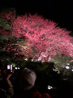 060408_1917002 060408_1917002