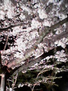 060408_1918001 060408_1918001