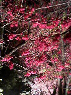 060408_1919001 060408_1919001