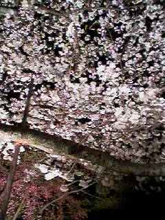 060408_1922001 060408_1922001