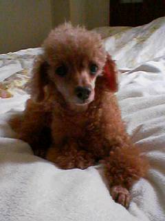 060520_1200001 060520_1200001