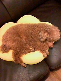 060521_1602001 060521_1602001