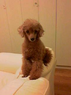 060524_1854002_1 060524_1854002_1