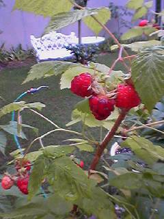 060618_0814001 060618_0814001