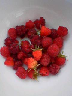 060618_0843001 060618_0843001