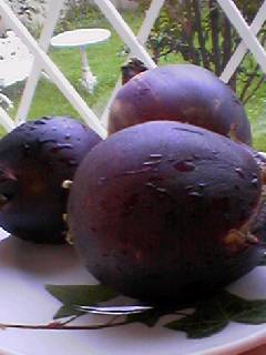 060714_1655001_1 060714_1655001_1