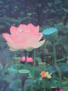 060823_1404001 060823_1404001