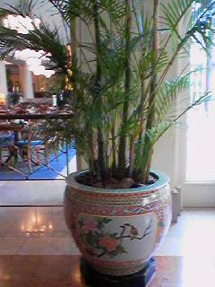 060908_1336001 060908_1336001