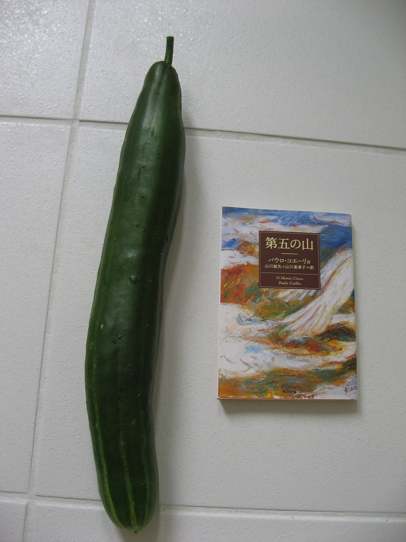 Img_0049_2 Img_0049_2