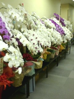 070317_20110001 070317_20110001