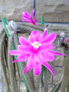 070521_06540001 070521_06540001