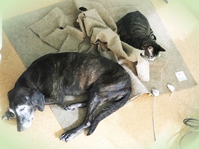 20197_20190725224401 20197_20190725224401