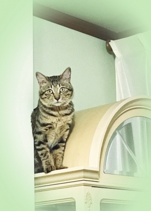 20197_20190725224802 20197_20190725224802