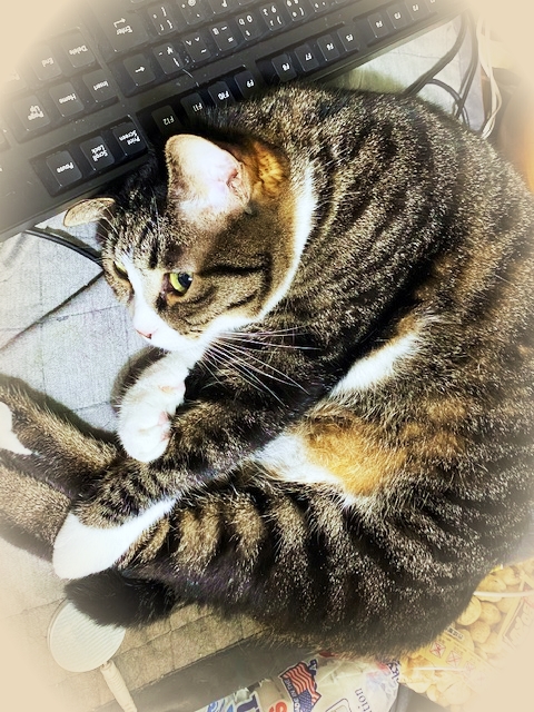 2020-10_20201030161101 2020-10_20201030161101