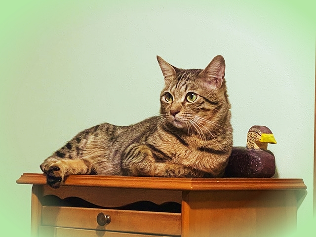 202010_20201030161201 202010_20201030161201