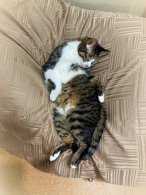 20201_20200126083401 20201_20200126083401