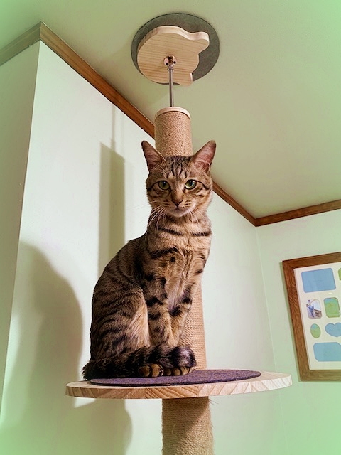 20201_20200126083501 20201_20200126083501