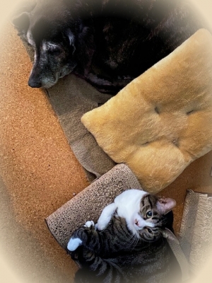 20202_20200229104802 20202_20200229104802