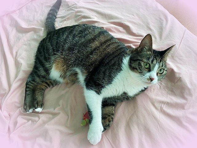 20203_20200330085701 20203_20200330085701