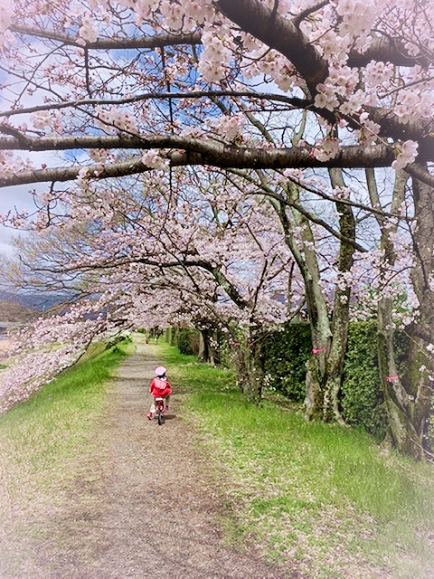 20204_20200410151402 20204_20200410151402