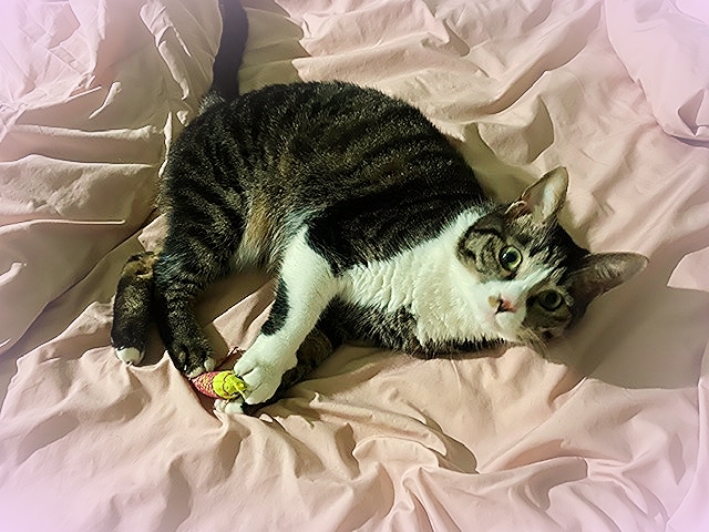 20204_20200410154001 20204_20200410154001