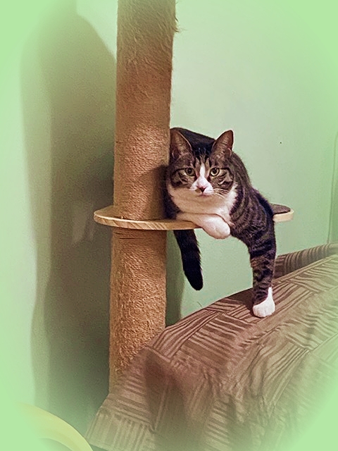 20204_20200420104301 20204_20200420104301