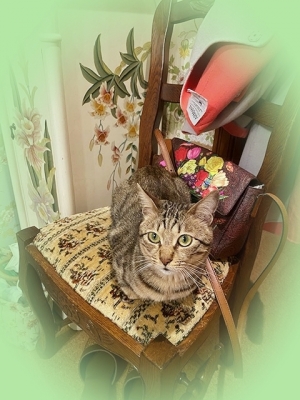 20204_20200420104501 20204_20200420104501