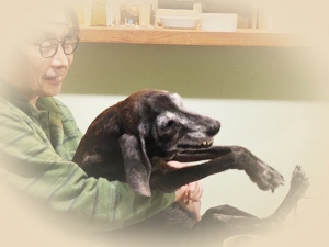 20204_20200420105301 20204_20200420105301