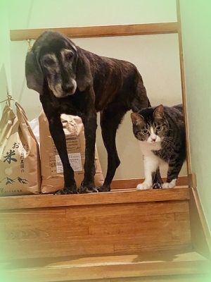 20205_20200516171301 20205_20200516171301