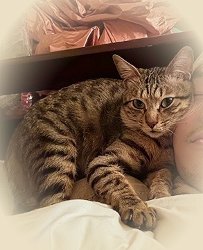 20205_20200517094601 20205_20200517094601