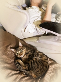 20208_20200924104101 20208_20200924104101