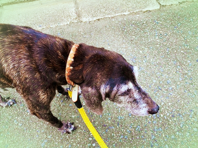 20209_20200924103501 20209_20200924103501