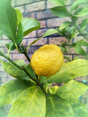 2020_20200330090001 2020_20200330090001