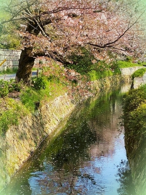 2020_20200410151701 2020_20200410151701