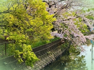 2020_20200410152601 2020_20200410152601