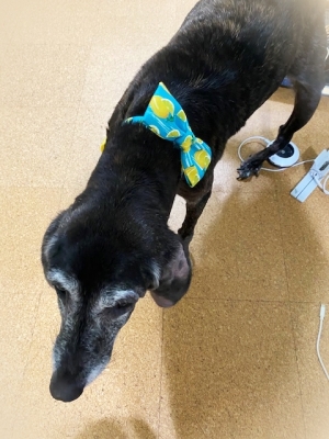 2020_20200818093301 2020_20200818093301