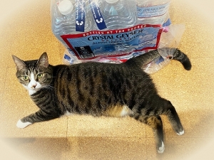 2020_20200924103801 2020_20200924103801