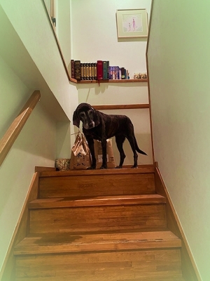 Photo_20200410153601 Photo_20200410153601