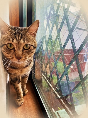 Photo_20200410154101 Photo_20200410154101