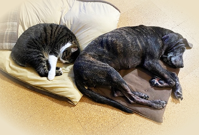 202012_20210121144001 202012_20210121144001