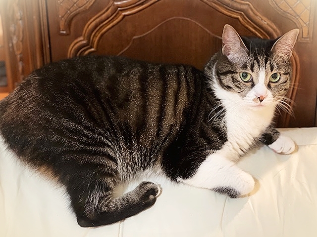 202110_20211027163201 202110_20211027163201