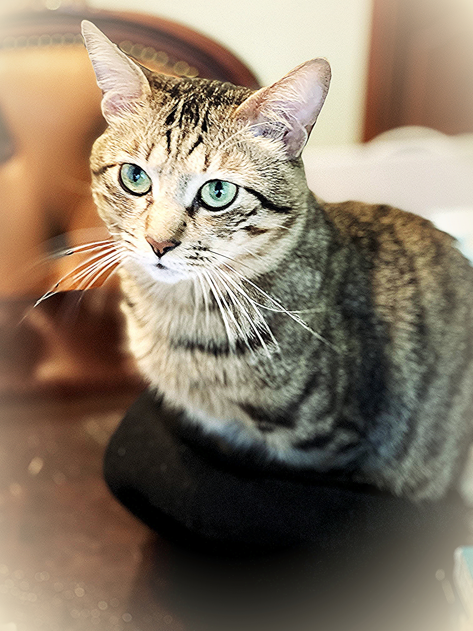 202110_20211027163401 202110_20211027163401