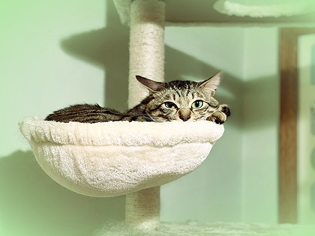 202110_20220729142001 202110_20220729142001