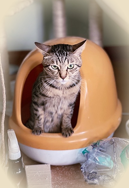 202111_20211124140001 202111_20211124140001