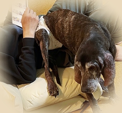 202111_20211124141701 202111_20211124141701