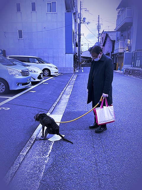 202112_20220729141901 202112_20220729141901